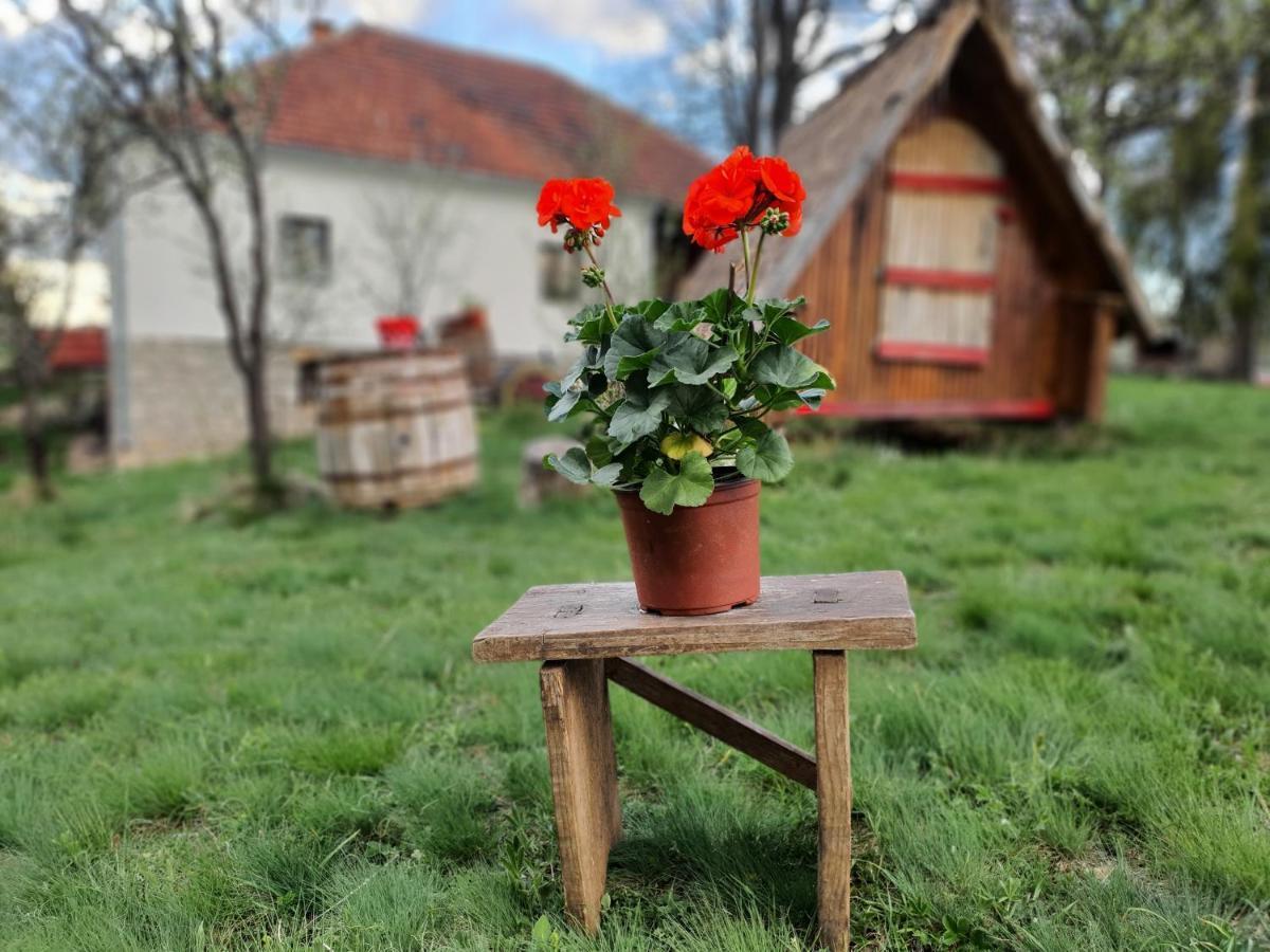 Hotel Etno Domacinstvo Saponjic à Nova Varoš Extérieur photo
