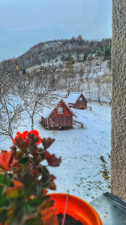 Hotel Etno Domacinstvo Saponjic à Nova Varoš Extérieur photo