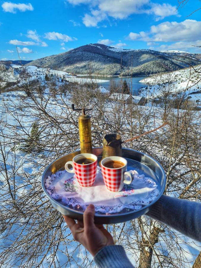 Hotel Etno Domacinstvo Saponjic à Nova Varoš Extérieur photo