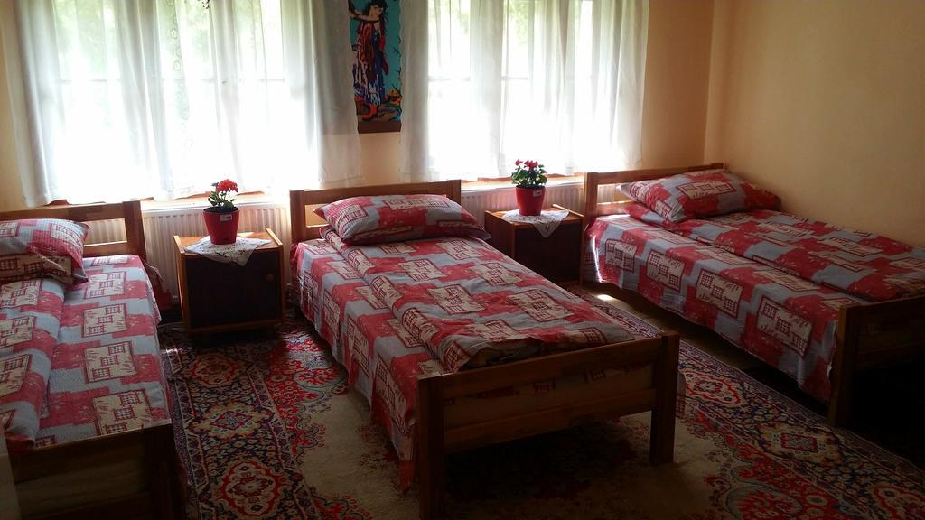 Hotel Etno Domacinstvo Saponjic à Nova Varoš Extérieur photo