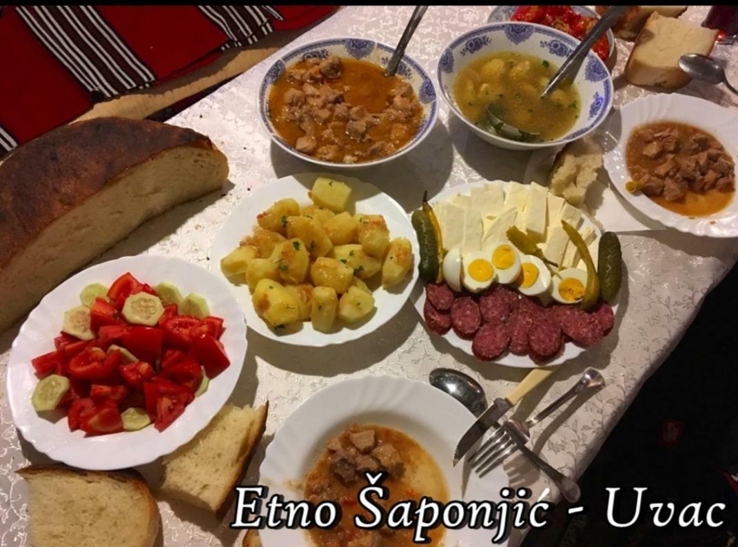 Hotel Etno Domacinstvo Saponjic à Nova Varoš Extérieur photo