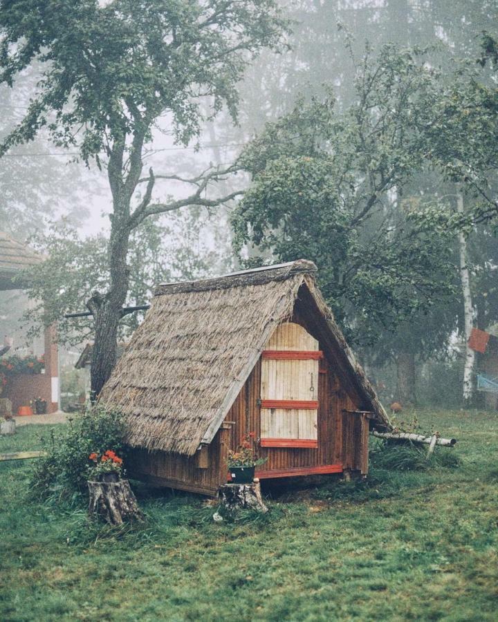 Hotel Etno Domacinstvo Saponjic à Nova Varoš Extérieur photo