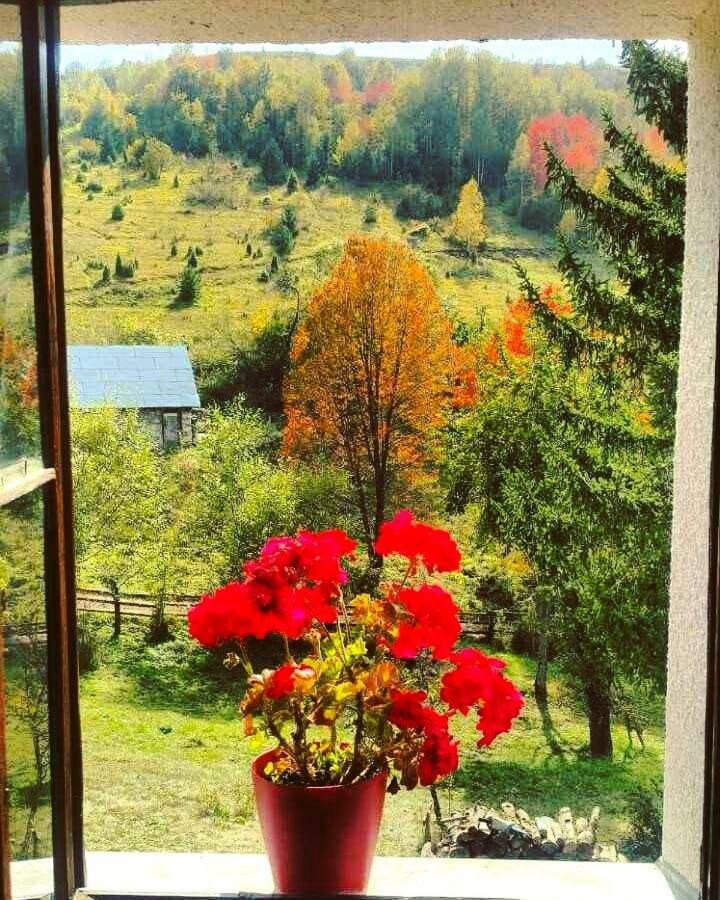 Hotel Etno Domacinstvo Saponjic à Nova Varoš Extérieur photo