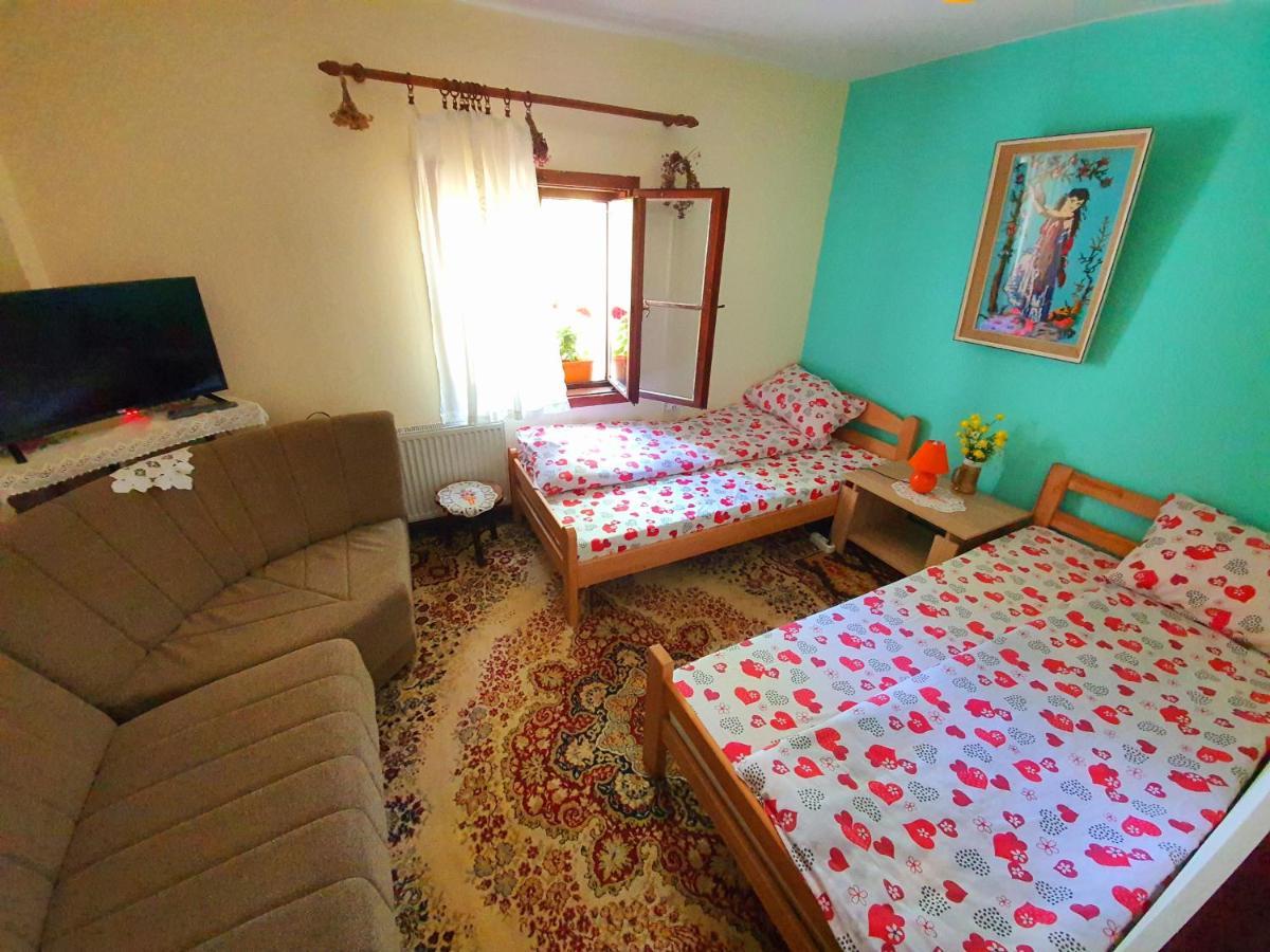 Hotel Etno Domacinstvo Saponjic à Nova Varoš Extérieur photo